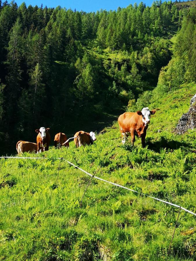 Ferienwohnung Bauernhof Obererlach Bramberg am Wildkogel Bagian luar foto