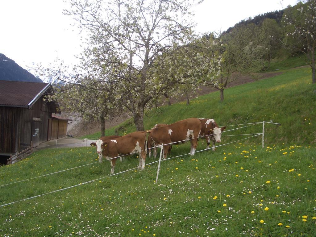Ferienwohnung Bauernhof Obererlach Bramberg am Wildkogel Bagian luar foto
