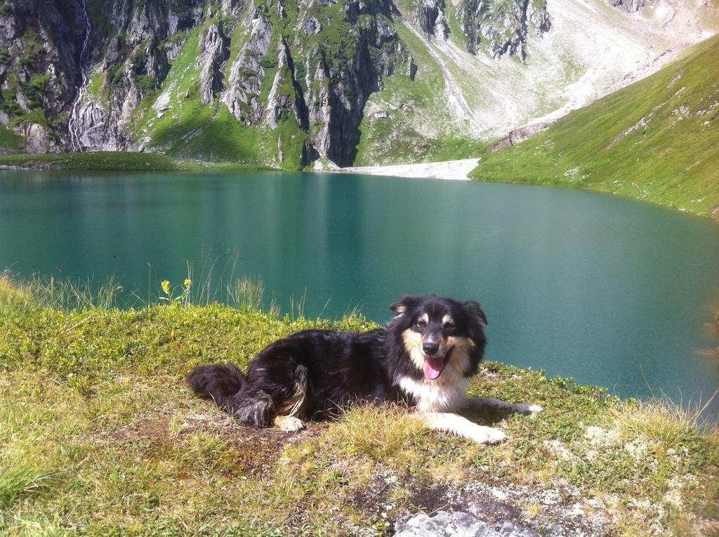 Ferienwohnung Bauernhof Obererlach Bramberg am Wildkogel Bagian luar foto